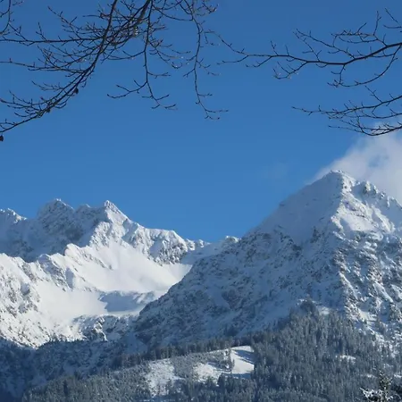Allgaeuer Bergblick *