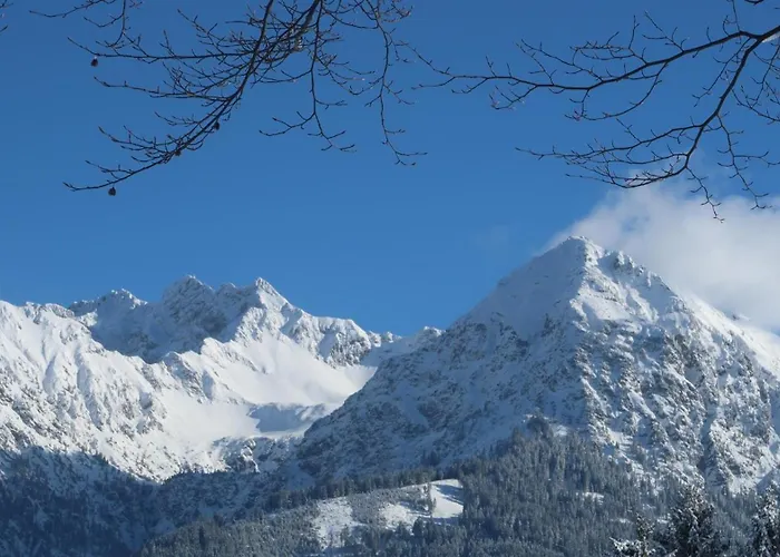 Allgaeuer Bergblick *