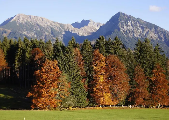 Allgaeuer Bergblick * Fischen im Allgaeu